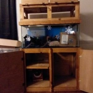 55 inch fish tank withstand daftar heater everythi